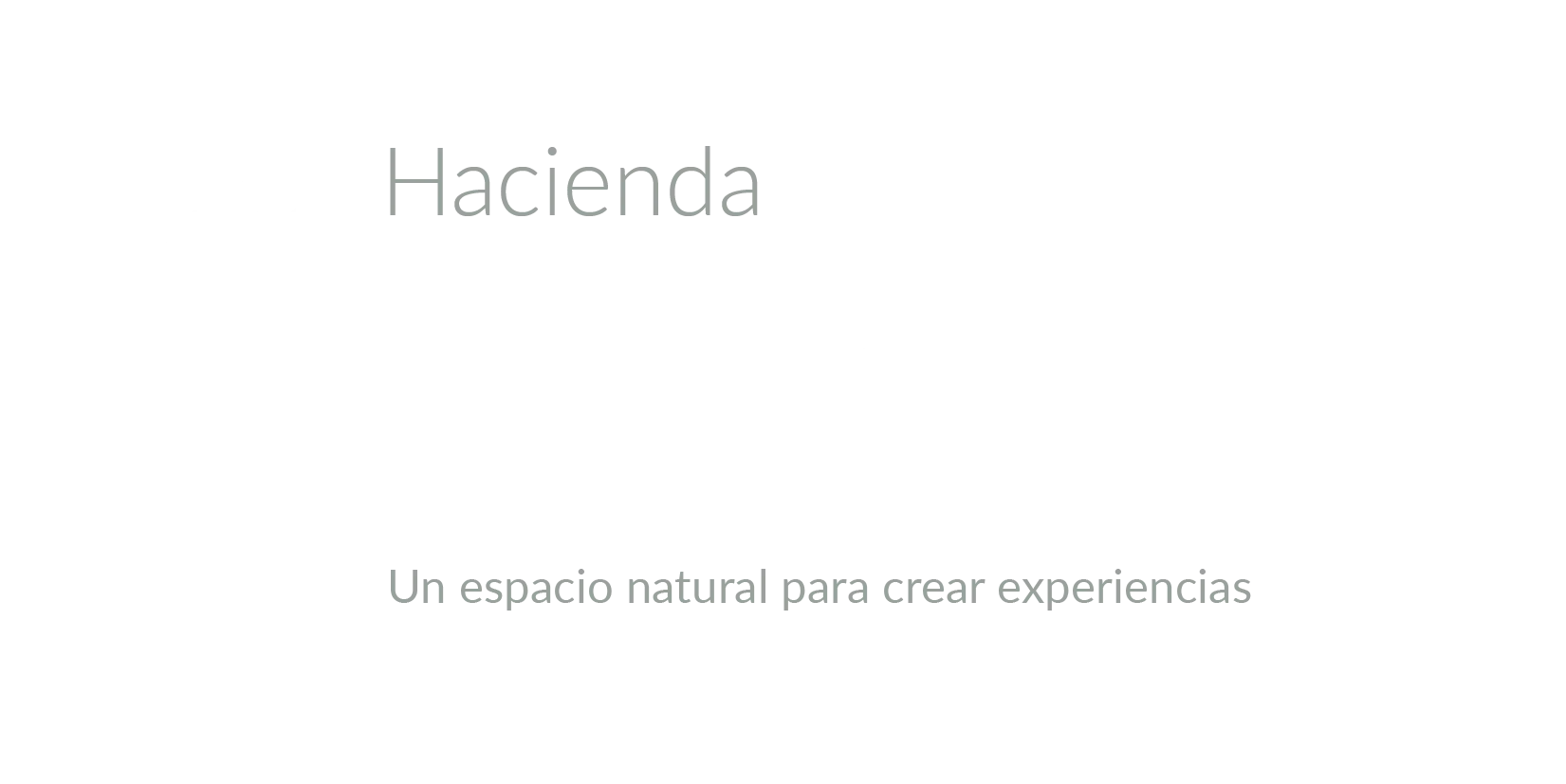 Logo Daiva_Logo en Negativo