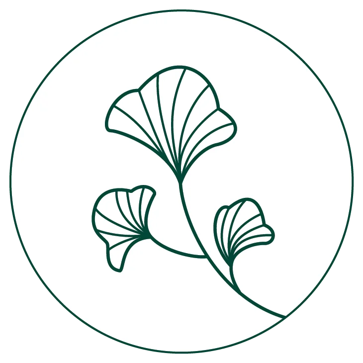 icono-verde-sin-fondo-daiva